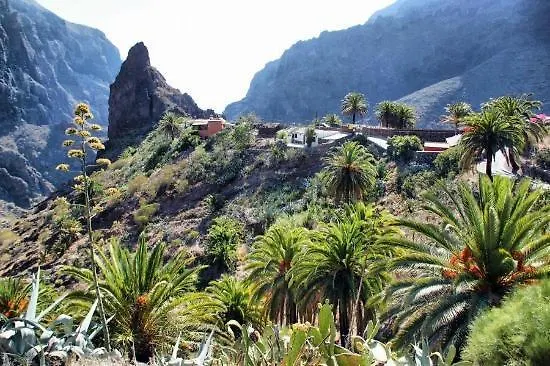 Marody Tenerife House El Medano  Apartment